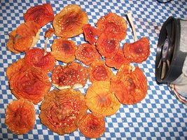 100_4957.JPG