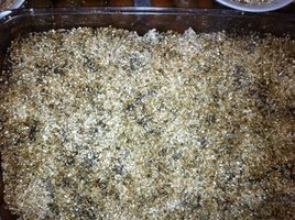 Terrario_10-07-Bulk.JPG