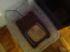 Terrario_11-07.JPG