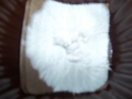 003.JPG