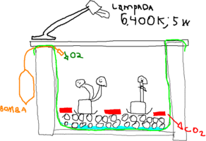 001.001.png
