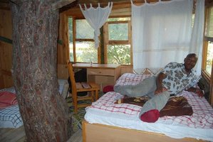 inside-tree-house-hotel.jpeg