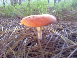 26072012211.jpg