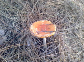 26072012221.jpg