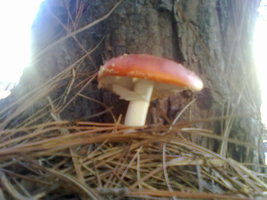 26072012223.jpg