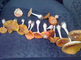 26072012237.jpg