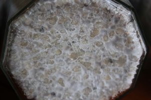 IMG_2805.jpg