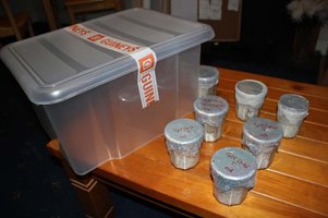 IMG_2797.jpg