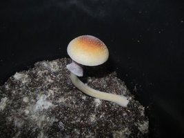 IMG_6252_1094x821.jpg