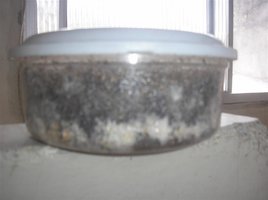P8120003 (Medium).JPG