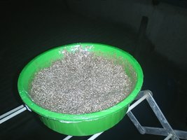 IMG039.jpg