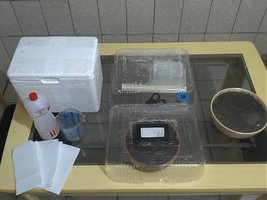 IMG057.jpg