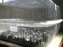 IMG100.jpg