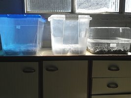 IMG101.jpg