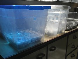 IMG102.jpg