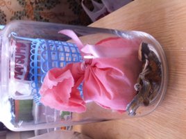 pote_18-08.JPG
