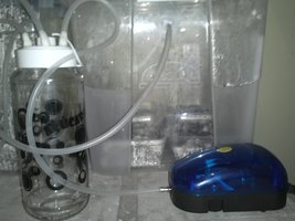 IMG158.jpg