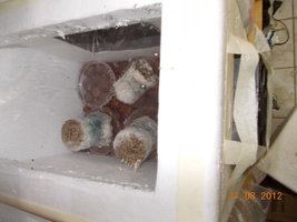 DSCN0449.JPG
