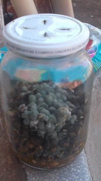 DSCF7524.JPG