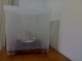 11082012730.jpg