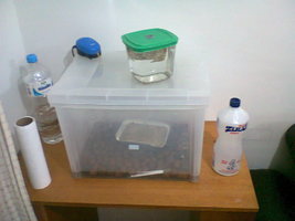 Foto0001.jpg