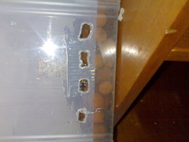 22082012752.jpg