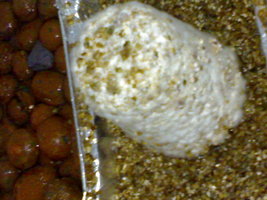 24082012759.jpg