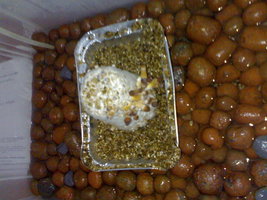 26082012777.jpg