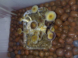 28082012804.jpg