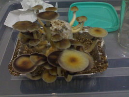 28082012807.jpg