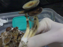 28082012808.jpg