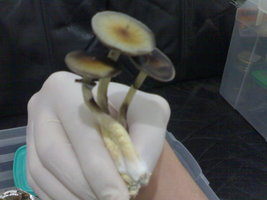 28082012810.jpg