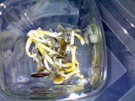 28082012814.jpg