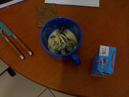 31082012830.jpg