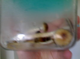 01092012833.jpg