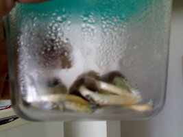 02092012843.jpg