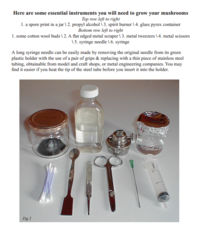 Magic Mushrooms - A New Indoor Growing Technique.pdf.png