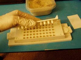 574567684-cmq_10.jpg