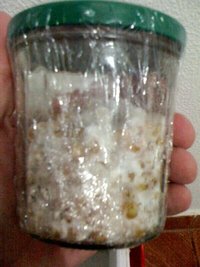 foto 4(1).JPG