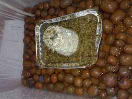 30082012826.jpg