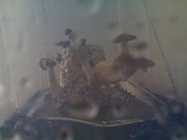 05092012881.jpg