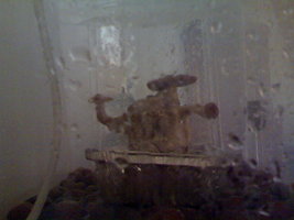 05092012882.jpg