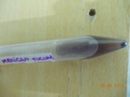 DSCN0471.JPG