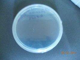 DSCN0472.JPG