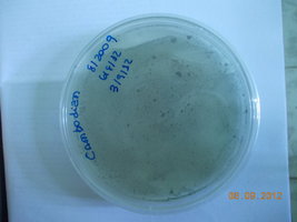 DSCN0476.JPG