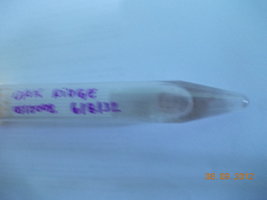 DSCN0477.JPG
