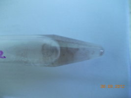 DSCN0479.JPG