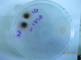 DSCN0480.JPG
