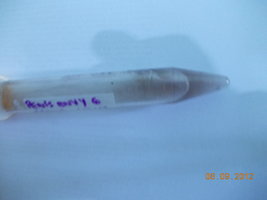 DSCN0483.JPG