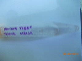 DSCN0485.JPG